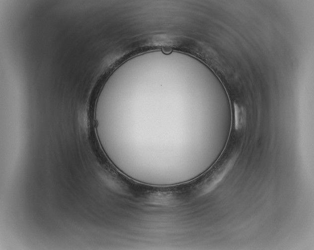 X0000112940252200909141353