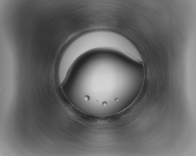 X0000112940256200909141353