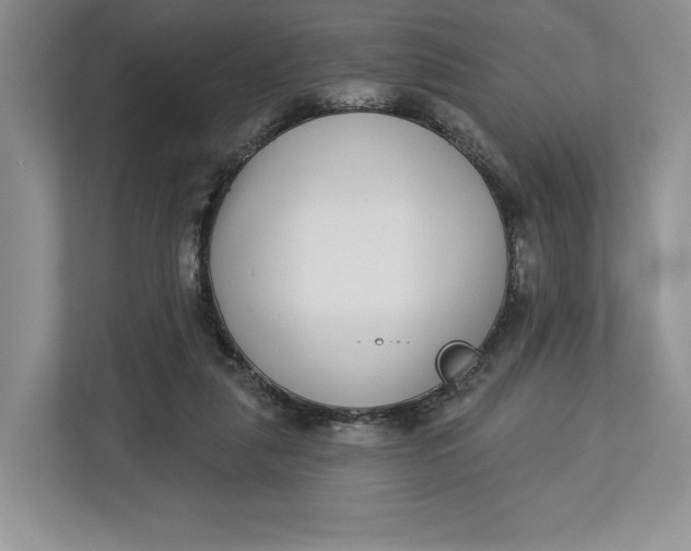 X0000112940259200909141353