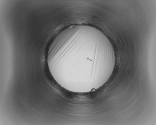 X0000112940260200909141353