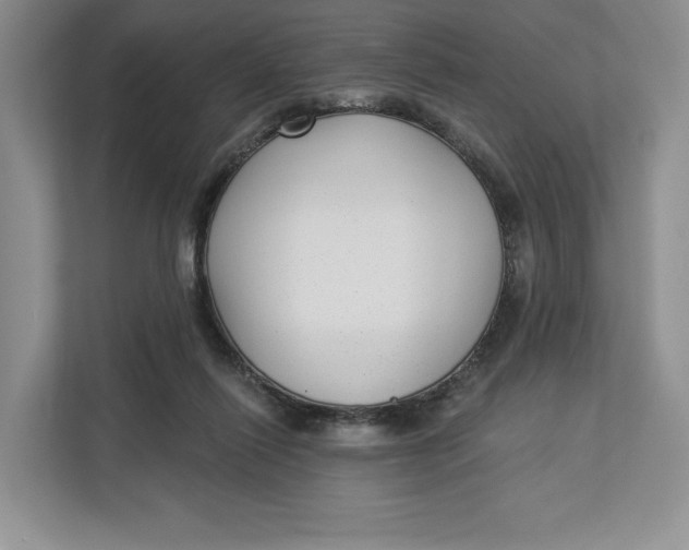 X0000112940262200909141353