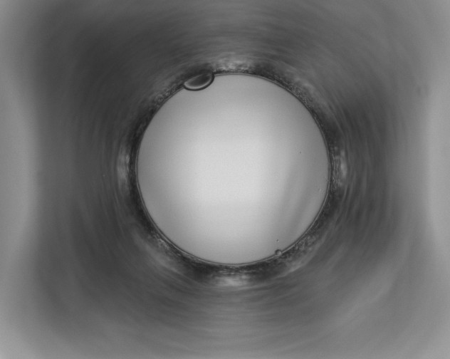 X0000112940263200909141353