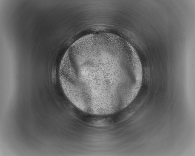 X0000112940267200909141353