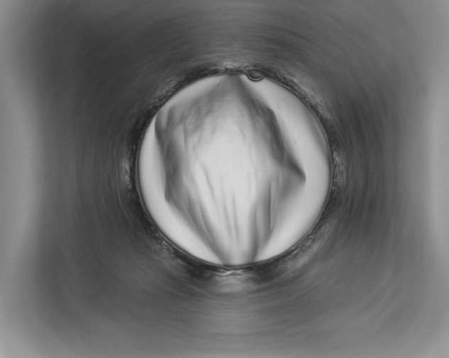 X0000112940269200909141353