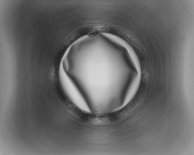 X0000112940270200909141353