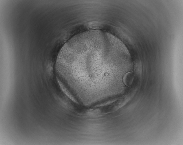 X0000112940271200909141353