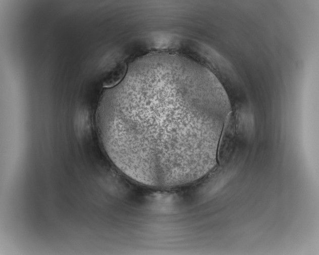 X0000112940272200909141353
