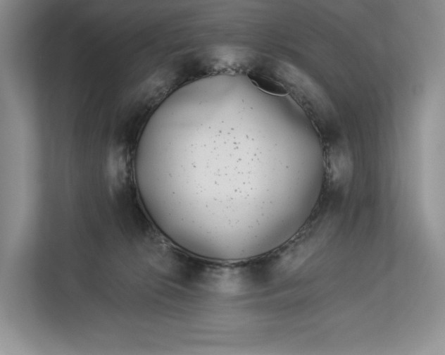 X0000112940276200909141353