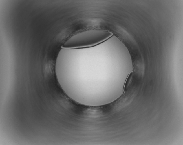 X0000112940280200909141353