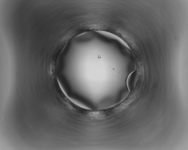 X0000112940281200909141353