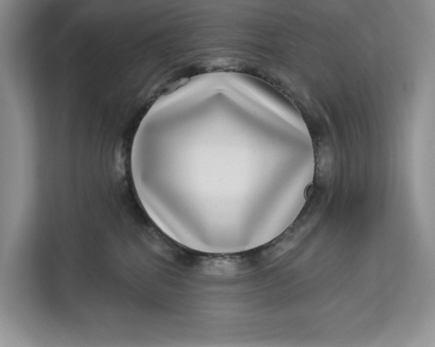 X0000112940282200909141353