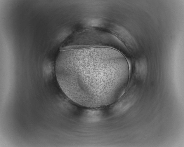 X0000112940284200909141353
