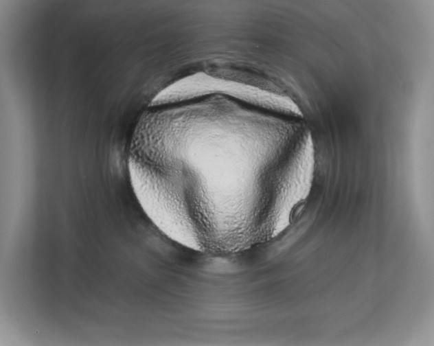 X0000112940285200909141353