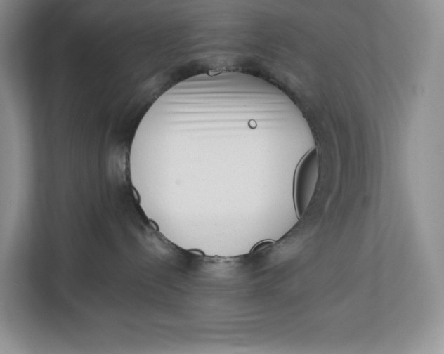 X0000112940288200909141353