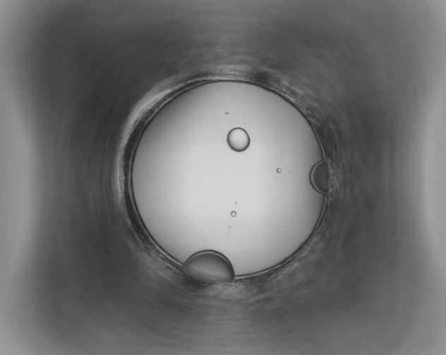 X0000112940294200909141352