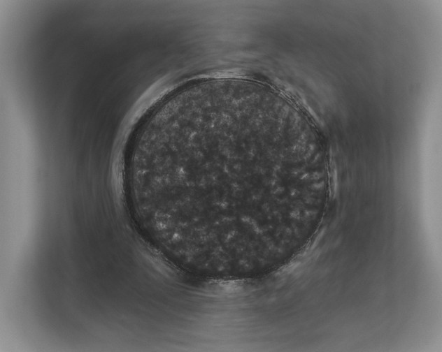 X0000112940295200909141352