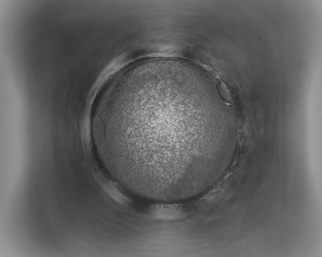 X0000112940296200909141352