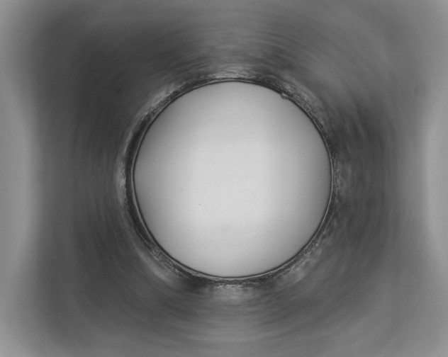 X0000112940298200909141352