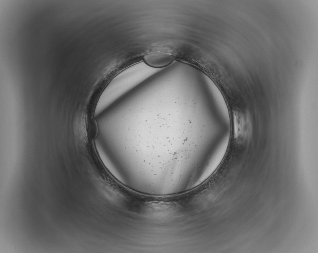 X0000112940300200909141352