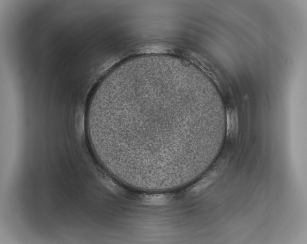 X0000112940301200909141352