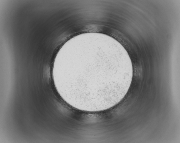 X0000112940302200909141352