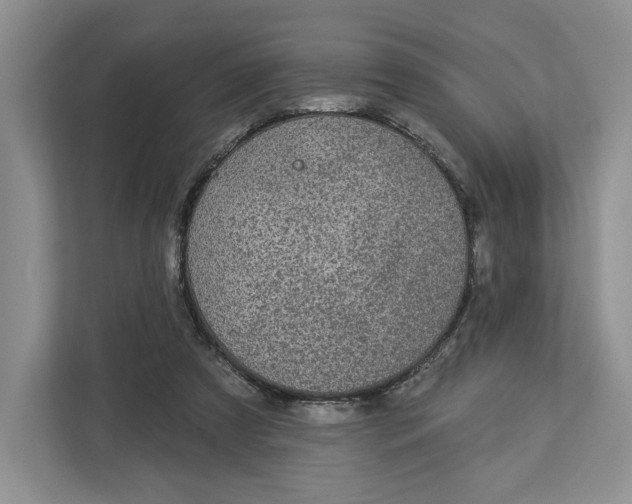 X0000112940305200909141352