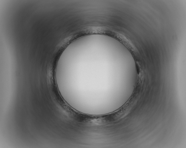 X0000112940306200909141352