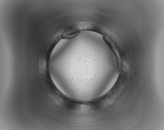 X0000112940308200909141352