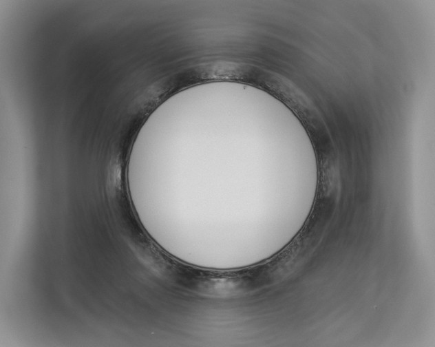 X0000112940310200909141352