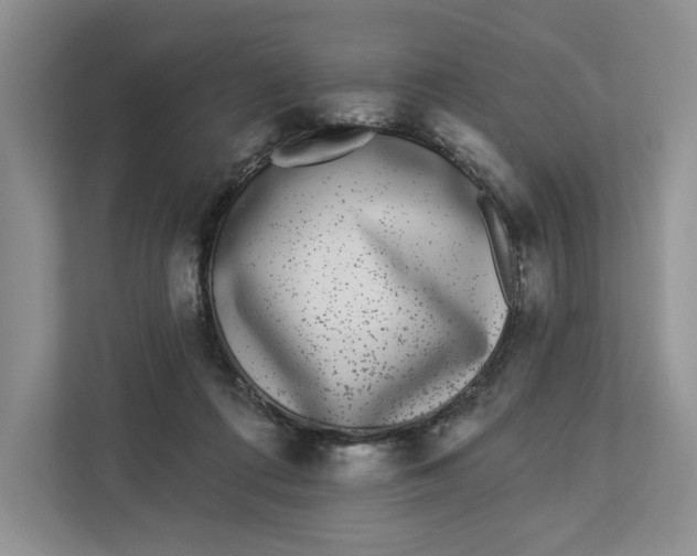 X0000112940312200909141352