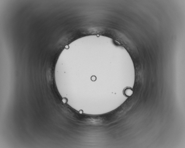 X0000112940317200909141352