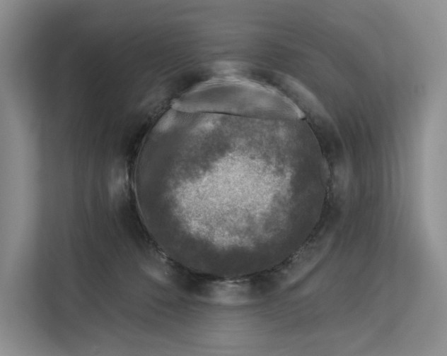 X0000112940320200909141352
