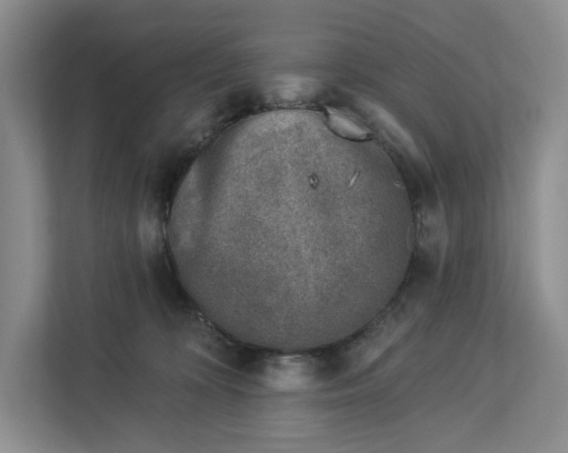 X0000112940324200909141352
