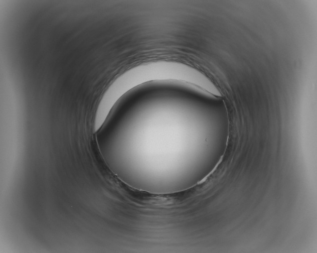 X0000112940328200909141352