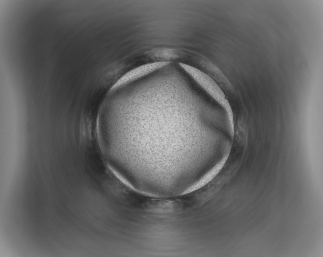 X0000112940330200909141352