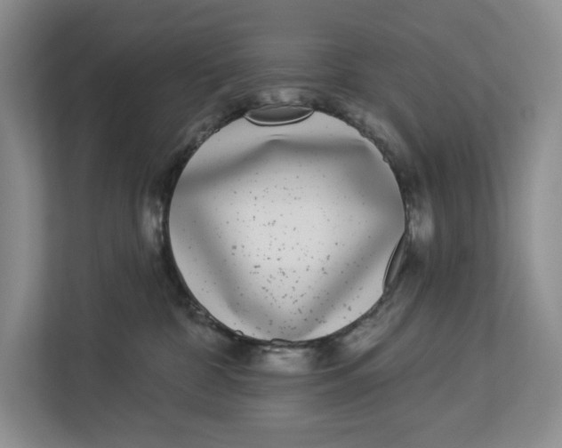 X0000112940332200909141352