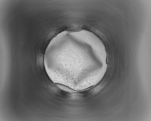 X0000112940336200909141352