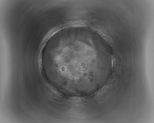 X0000112940339200909141351