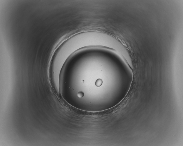 X0000112940340200909141351