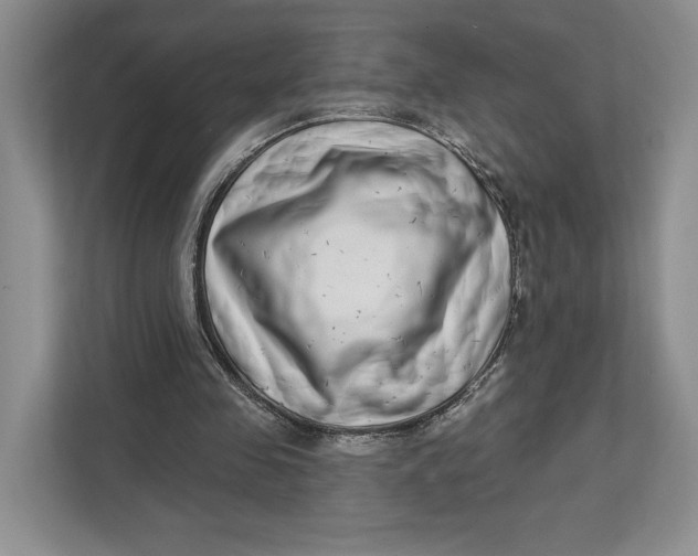 X0000112940341200909141351