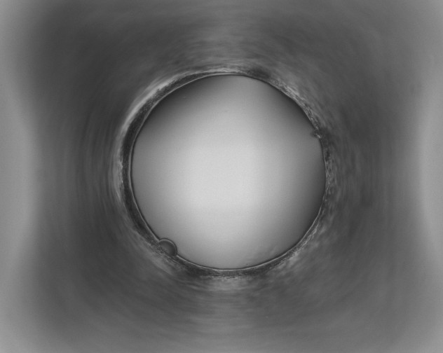 X0000112940342200909141351