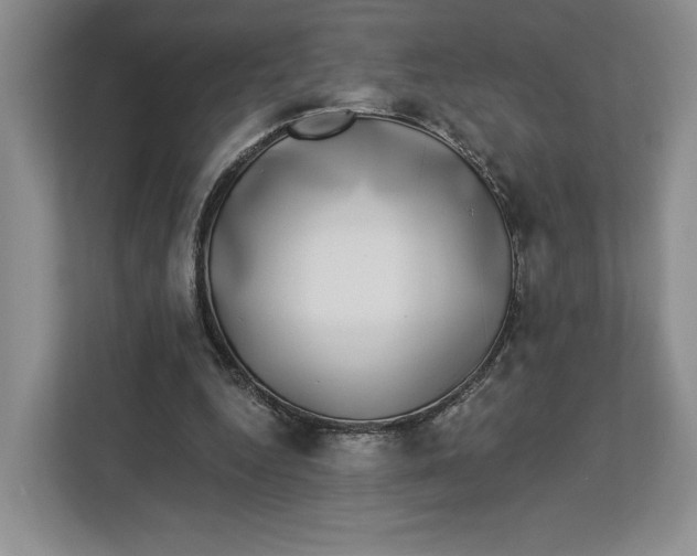 X0000112940344200909141351