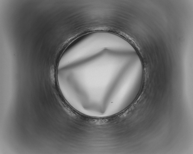 X0000112940345200909141351