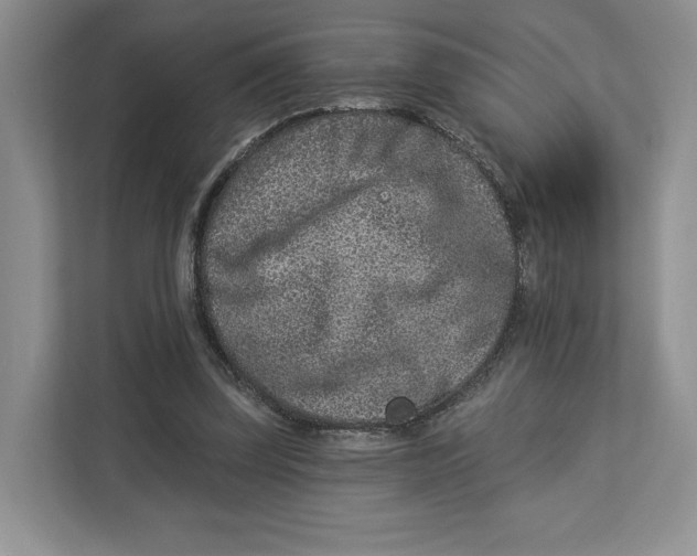 X0000112940347200909141351