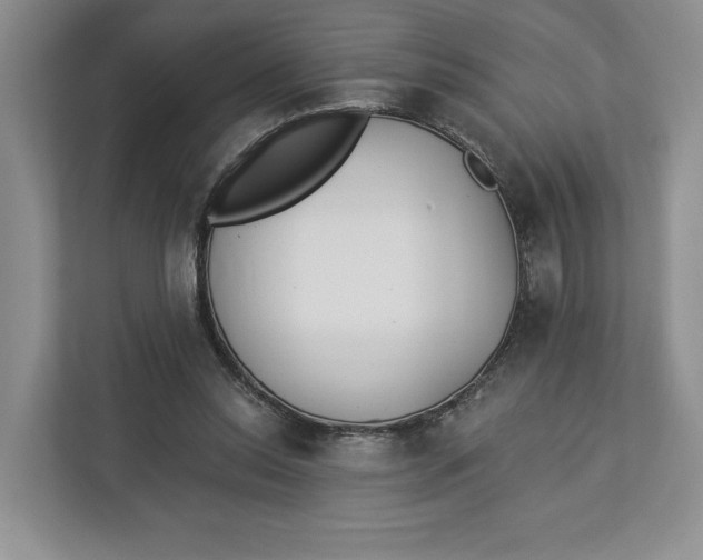 X0000112940350200909141351