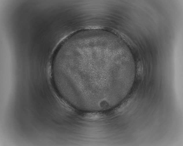 X0000112940351200909141351