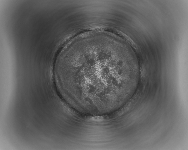X0000112940353200909141351