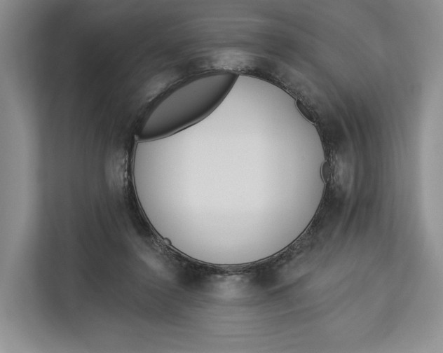 X0000112940356200909141351