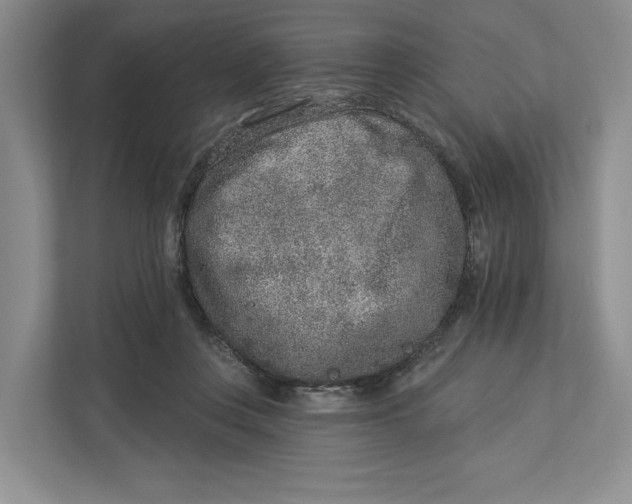 X0000112940359200909141351