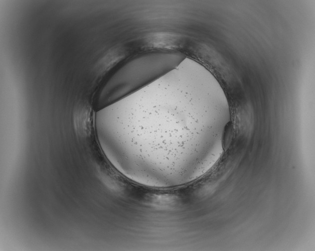 X0000112940360200909141351